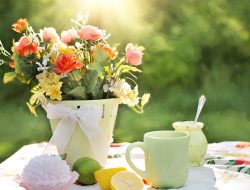 Beautiful morning and flowers