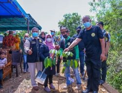 Peringari Hari Lahir ke-3, KPL Tanjungpinang Tanam Pohon