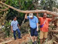 Ketua DPRD Natuna Tinjau Bencana Tanah Longsur di Serasan Natuna