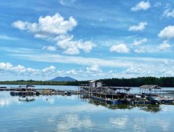 Madong Menyusul Pengudang Sebagai Objek Kawasan Ketahanan Pangan Maritim Kepri