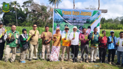 Perkuat Ketahanan Pangan, Asisten I Setda Natuna Hadiri Panen Raya Jagung di Desa Batu Gajah